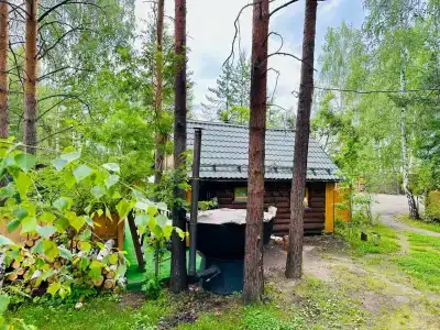 Дача Сосны-Лес - 36
