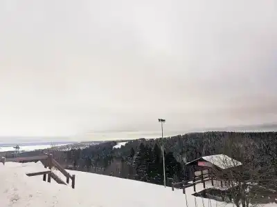 Снегири - 28
