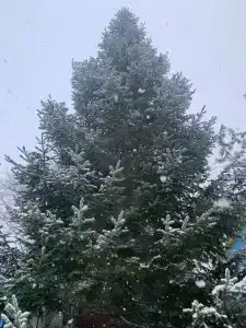 Воробьиное Плато - 39