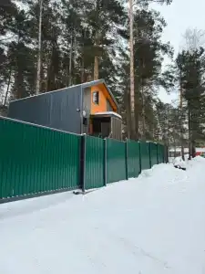 Сосна - 4