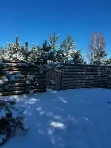 Тишина - 13