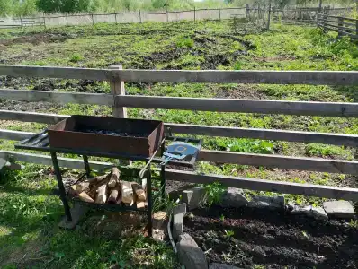 Горный ключ - 2