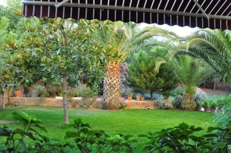 Palm Court Suites - 38