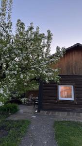 Суздальский Дворик - 43