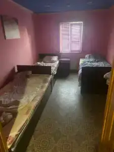 София - 2