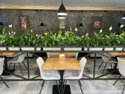 Черная Жемчужина - 54