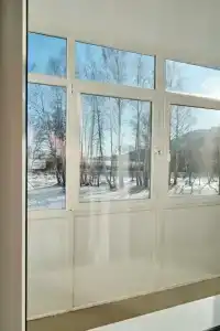 Березки - 37