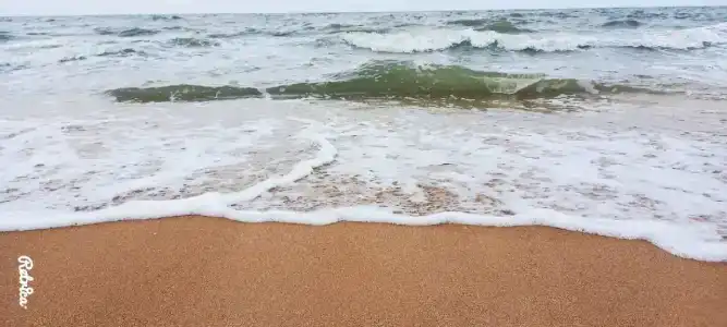 База отдыха у Петровича - 48