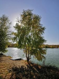 Монахов пруд - 70