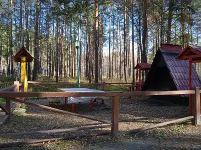 Аленушка - 45