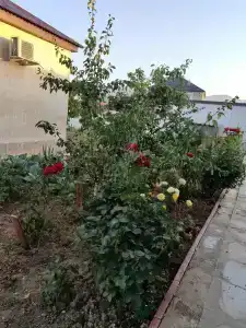 МИКА ЦЕНТР - 23