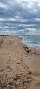 Фридом Веселовка - 30