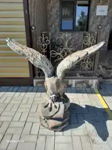 У пруда - 29