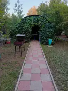 Рябинушка - 66