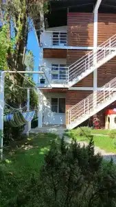 Бамбук - 34