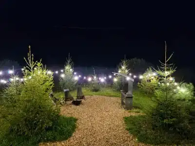 Дом Аиста - 40