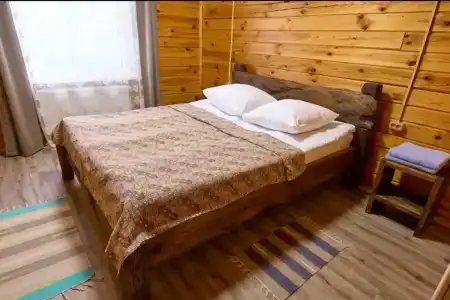 Dмитриевский - 60