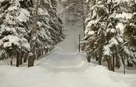 Спальный корпус Коверши - 6