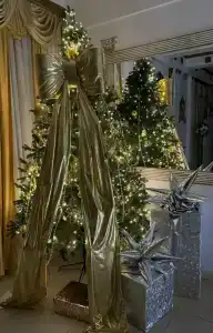 Пионер 32 - 28