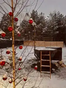 Сосновка - 14