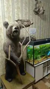 Регион59 - 6