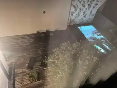 Булгаков - 94