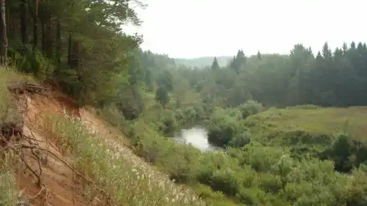 Ласточка - 15