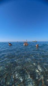 Justiniano Club Park Conti - 96