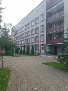 Борок - 78