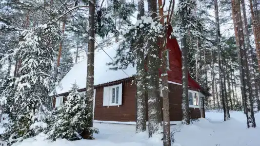 Домики на Волге - 14