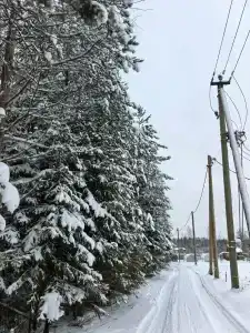 Долина Парк - 20