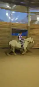 Баллада - 40