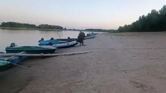 Лес и Рыба - 47