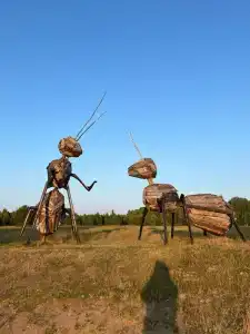 Визит-центра - 10