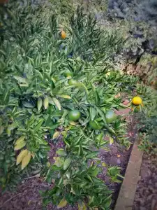 Солнечный - 26