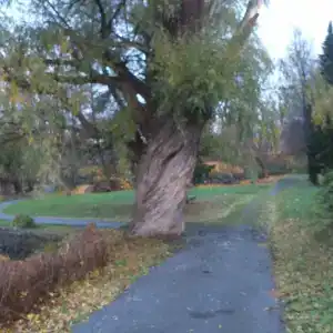 Приозерский - 87