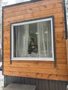 Домики в лесу - 2