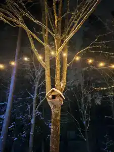 Пансионат Ольшаники - 80