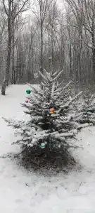 Бархатная Сихотэ - 27