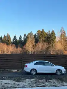 Истина в лесу - 34