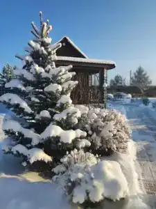 Берендей - 27