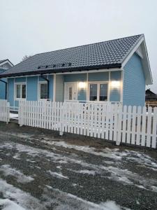 Чайкина дача - 64