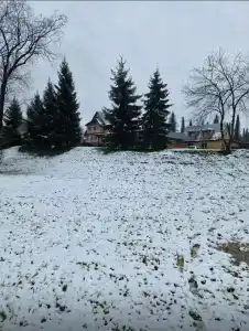 Зель-Диего - 72