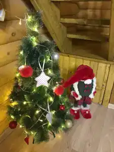 Сосновые дома - 92