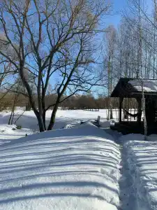 БеМе - 47