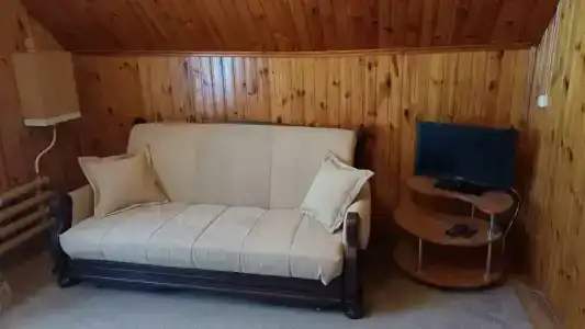 Татьянин дом - 50