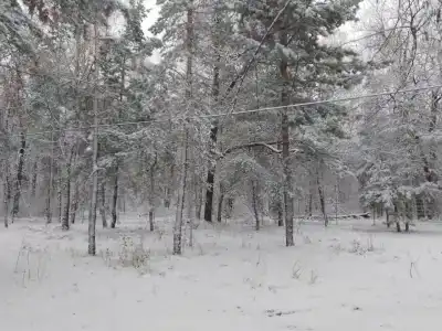 ПриродаРОДА - 78