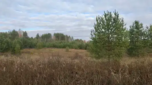 Эльк-Парк - 2