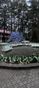 Энергетик - 40