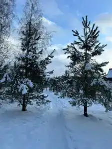 Дача на Истре - 36